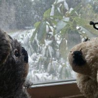 PoHJoe88 (@pohjoe88) 's Twitter Profile