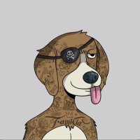dislexica (@dislexica457029) 's Twitter Profile
