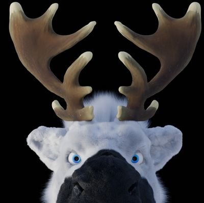 Wayne Deer Gamesさんのプロフィール画像