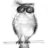 Owltoastowner's profile image
