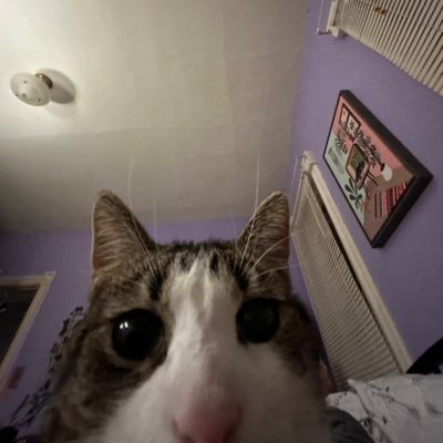 abbym30's profile picture. avid candy crush player