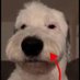 JackTheAce1337 (@j4cktheace1337) Twitter profile photo JackTheAce1337 (@j4cktheace1337) Twitter profile photo