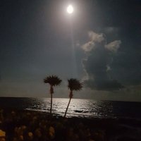 Gwen_Only (@gwen_zaga) 's Twitter Profile Photo