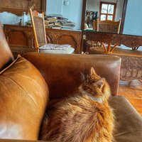 Stevie Hudson (@steviehuds16664) 's Twitter Profile