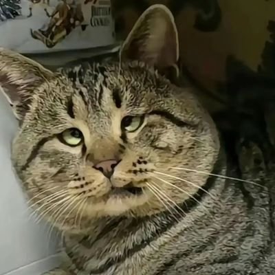 wang2022520's profile picture. 得之我幸，失之我命