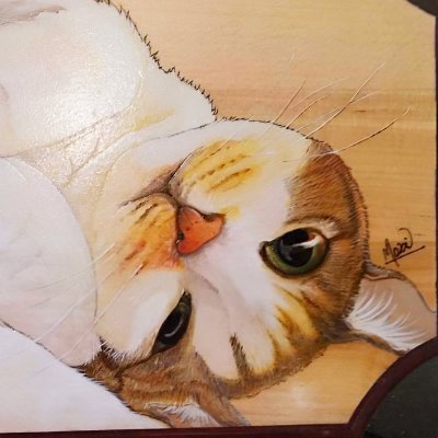 Maki@U-tans工房さんのプロフィール画像