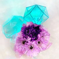 ZERO (@altair_form) 's Twitter Profile