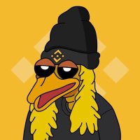 Bird Dog (@birddogcto) 's Twitter Profile