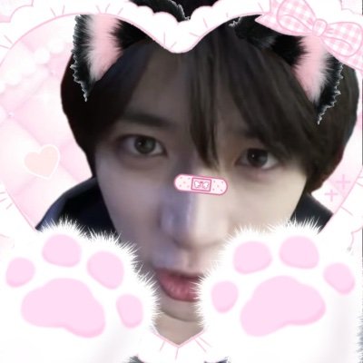 once/stay/teume/moa/engene/briize X初心者すぎてほんとに何も分からないですㅠㅠ 基本インスタに生息してます🍀*゜