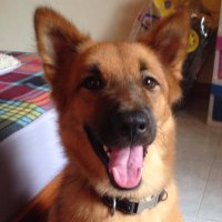 Vasya forever (@vasya_tata) 's Twitter Profile Photo Vasya forever (@vasya_tata) 's Twitter Profile Photo