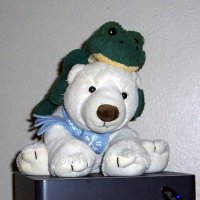 Little Doggie (@torgul77) 's Twitter Profile