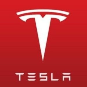 tepalbi's profile picture. Tsla Bitcoin pltr + 미국 Big tech 주식투자자