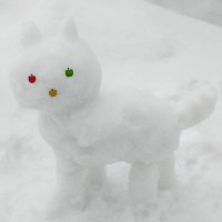 雪猫⛄ (@pupicche) 's Twitter Profile Photo 雪猫⛄ (@pupicche) 's Twitter Profile Photo