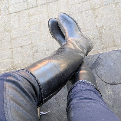 Geschenkferkel seiner Göttin @Ks_DomFacette
Gummistiefel,@bluejays ,#Pferde,#Horses,#reiten, #riding,
#NFL, #NHL, #vegan
,#herewego, #49ers,#IronMaiden