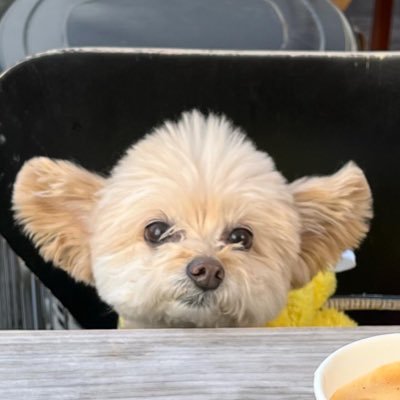 saaa8000yumasa's profile picture. BTS大好き💜テテペン、クォズ、ジミン、グク、ジン💜５トン時代からのオルペンでした…チャンミン メインはInstagramでやってます