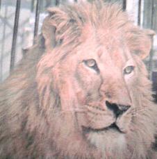 editedbytes's profile picture. Historian, analyst, political history and biographies non fiction author, occasional editor and a dalliance with short scifi not unknown..