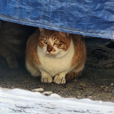 Princess__Stars's profile picture. 성인/잡덕/저도 절 모르니 메인트 봐주십쇼