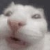 pawwep (@sadpawwep) Twitter profile photo pawwep (@sadpawwep) Twitter profile photo