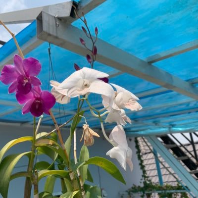 sorr43475's profile picture. 