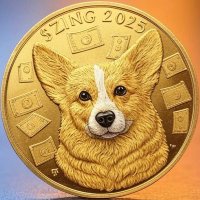 $ZING (@zing_on_sol) 's Twitter Profile