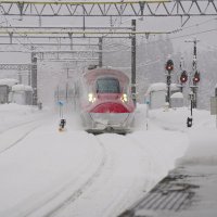 サンタ＠photo (@samba_de_janeir) Twitter profile photo