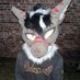 Kuba.shark 🔜 TFF, FWA (@kubamaxxing) Twitter profile photo Kuba.shark 🔜 TFF, FWA (@kubamaxxing) Twitter profile photo