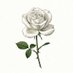 flower@78期 (@flowercucu) Twitter profile photo flower@78期 (@flowercucu) Twitter profile photo