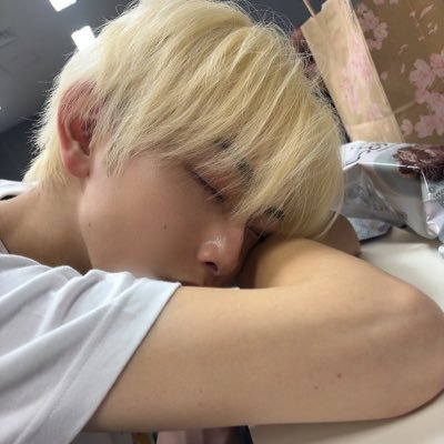 Tiger17712514's profile picture. 🐯🐯🐯🐢🐢🐢