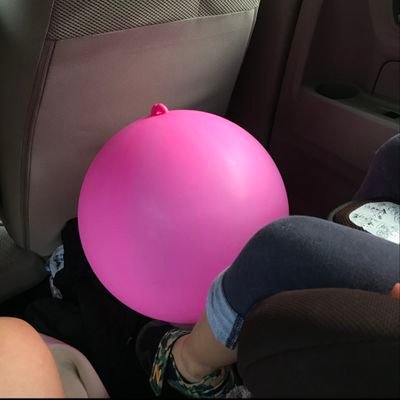 mmasayanagai's profile picture. 散歩が好き。