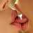 sex_saudi's profile image