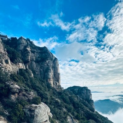 apotulwar's profile picture. here for learning only