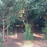 _unknownuser (@experiment254) 's Twitter Profile