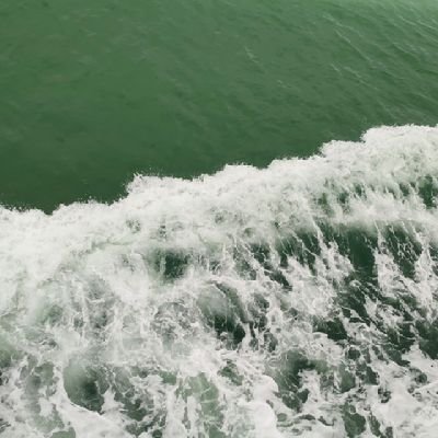 hannachen26's profile picture. 普通人记录日常，看看世界