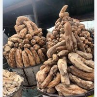 Obaimole Yam Flour & All Type Of Foodstuffs (@obaimolefood) 's Twitter Profile Photo Obaimole Yam Flour & All Type Of Foodstuffs (@obaimolefood) 's Twitter Profile Photo