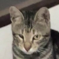 md ױ (@cryptokendefi) 's Twitter Profile Photo md ױ (@cryptokendefi) 's Twitter Profile Photo