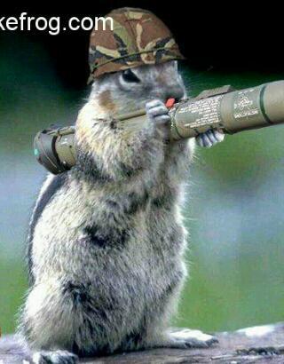 LWalker590's profile picture. better than all the rest