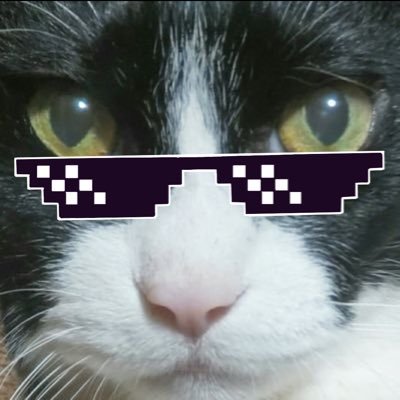 ゲーム＆お絵描き
たまにFA描いてみたり(FAはご本人様のみ使用可)無断転載・AI学習は❌過去絵は気分でちょくちょく消してます(データは残してます)
