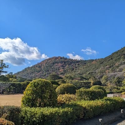 arieswednesday1's profile picture. 