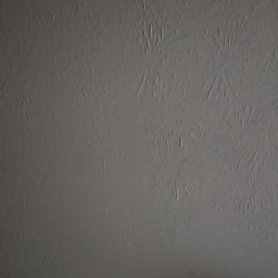 dral69's profile picture. .