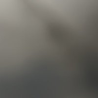 jdjdjfjdnsooal (@m_wooten010) 's Twitter Profile
