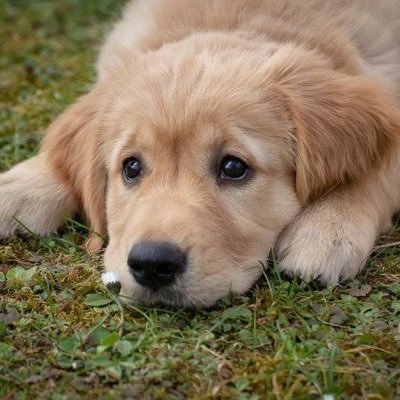 cshhiion_07's profile picture. 篠塚大輝👶🏻🤍関東/25↑ 嵐▶︎茶の間▶︎timelesz