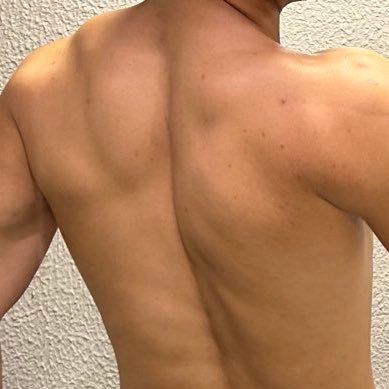 tigsparamaiores's profile picture. um novo segmento