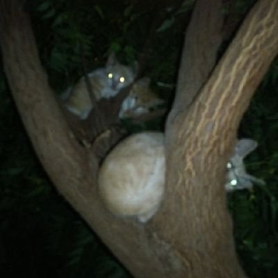 princ42328's profile picture. 