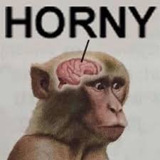 UnRandomH0t's profile picture. 