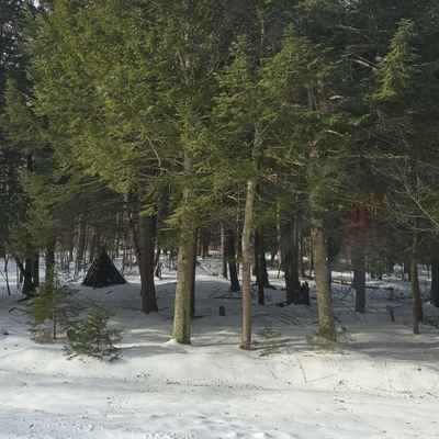 ancamicu's profile picture. 