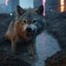 MrTokenWolf (@mrtokenwolf) Twitter profile photo MrTokenWolf (@mrtokenwolf) Twitter profile photo