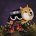 0xjulbas (Ø,G) 🦭/acc🪽 (@cryptopasa_ola) Twitter profile photo 0xjulbas (Ø,G) 🦭/acc🪽 (@cryptopasa_ola) Twitter profile photo