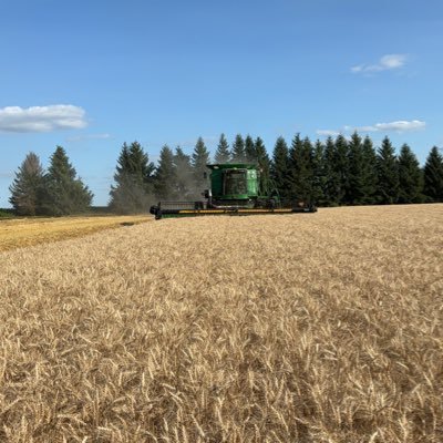 just living the dream, cash crop farming in southwestern ontario