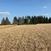 Derek Vanderspek (@vanderspekfarms) Twitter profile photo Derek Vanderspek (@vanderspekfarms) Twitter profile photo