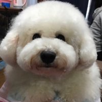 MT (@supernova1415) 's Twitter Profile
